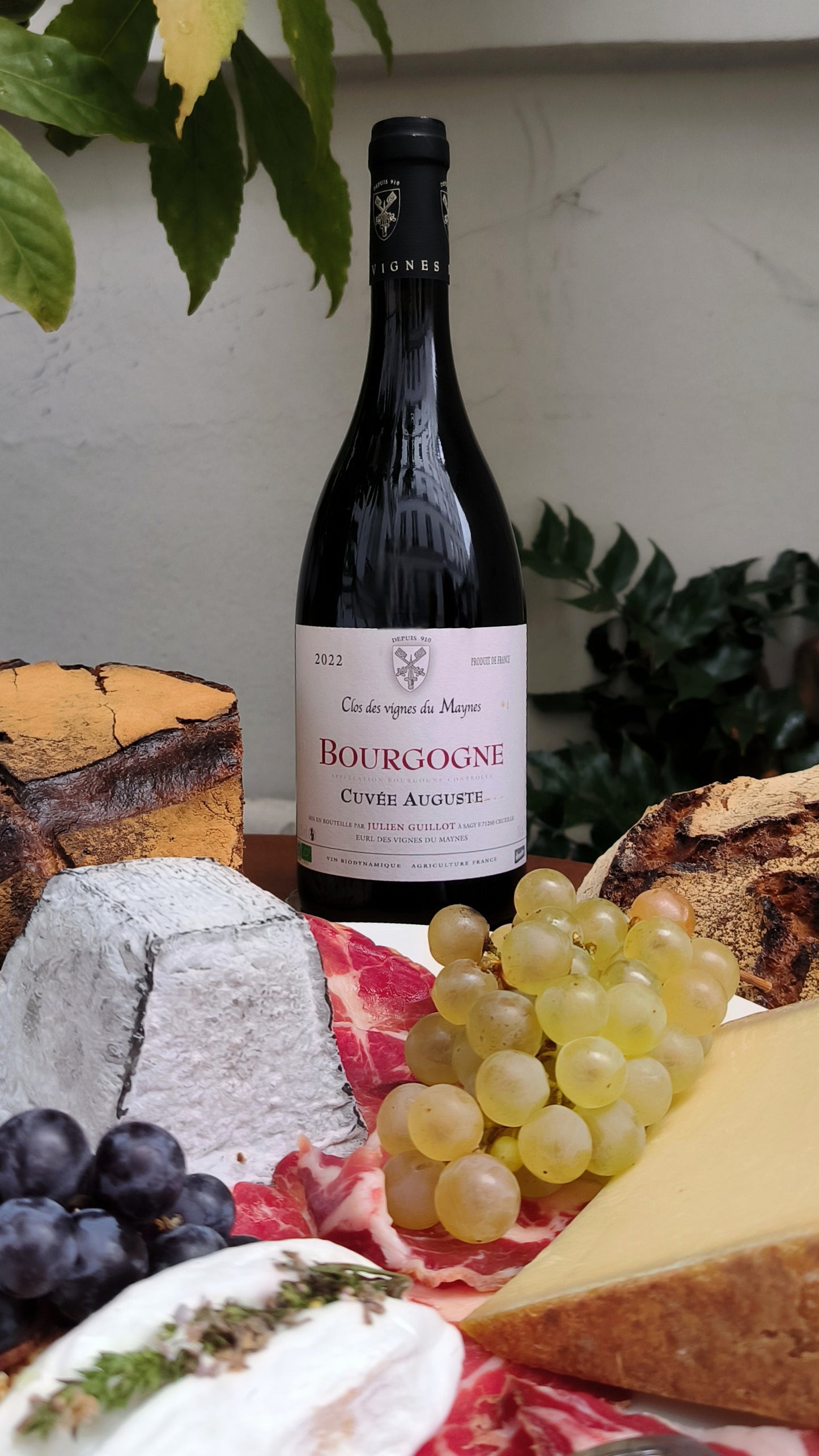 CLOS DES VIGNES DU MAYNES - CUVÉE AUGUSTE - 2022