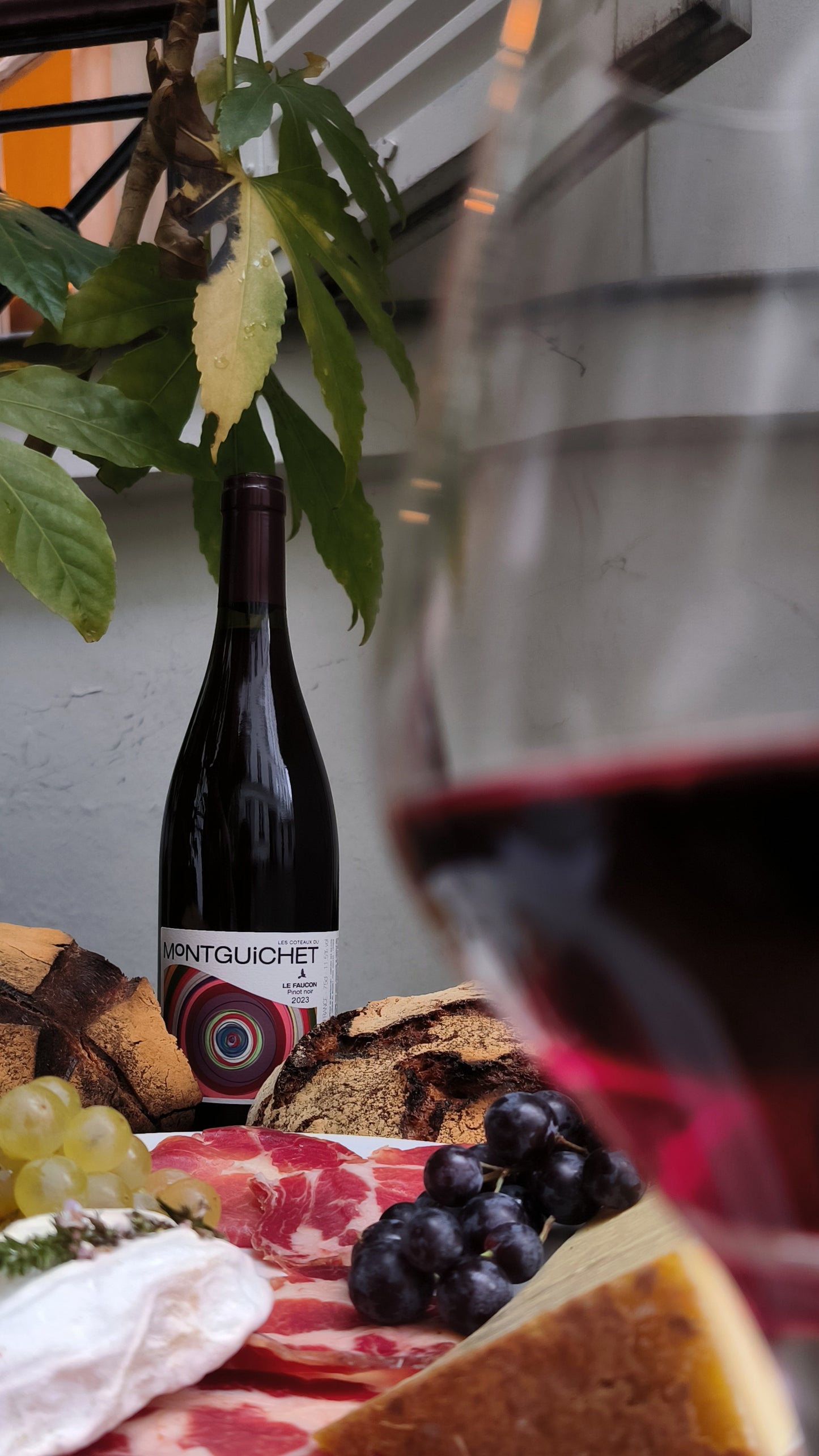 Carte cadeau Vineyart