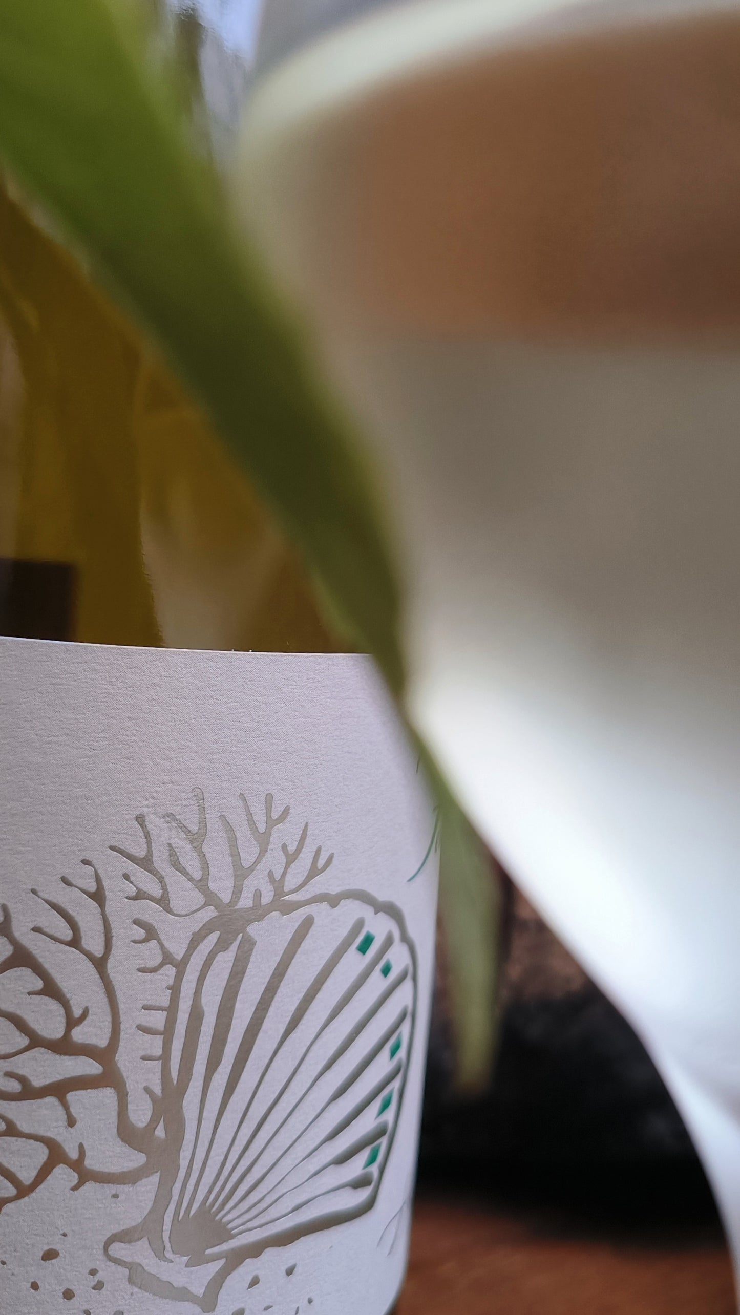 DOMAINE FENOUILLET - AOC VENTOUX - CUVÉE HIPPOLYTE - 2023