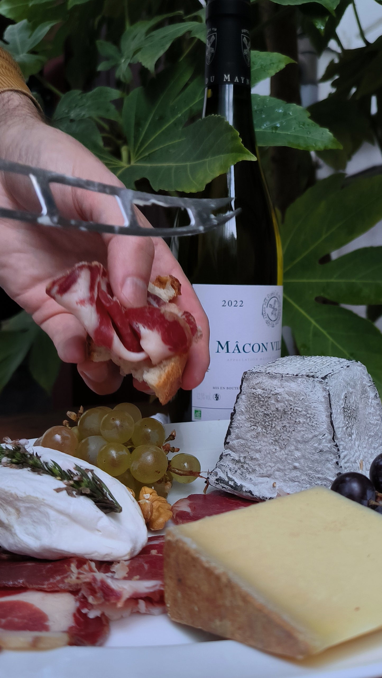 CLOS DES VIGNES DU MAYNES - AOC MÂCON VILLAGES - 2022